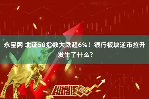 永宝网 北证50指数大跌超6%！银行板块逆市拉升 发生了什么?